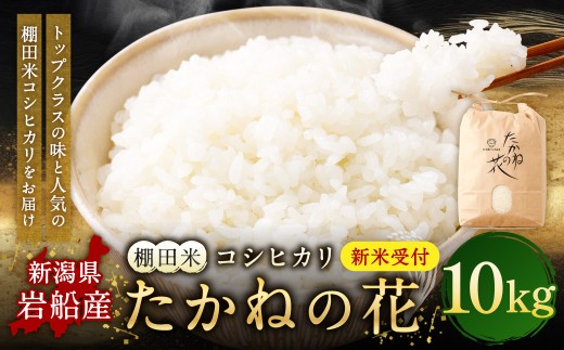 縲先眠邀ウ蜿嶺サ倥サ莉、蜥8蟷エ逕」邀ウ縲第眠貎溽恁譚台ク雁クょイゥ闊ケ逕」縲譽夂伐邀ウ繧ウ繧キ繝偵き繝ェ縲後◆縺九ュ縺ョ闃ア縲10kg縲1104002N