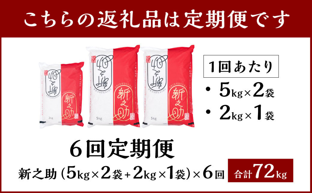 【新米受付・令和6年産米】【定期便：6ヶ月連続でお届け】 村上市産 新之助 72kg （12kg×6ヶ月）コース 1027008N