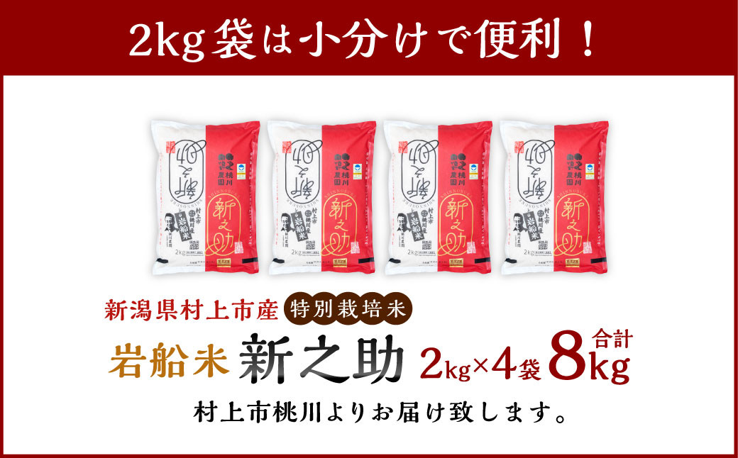 【新米受付・令和6年産米】 NAB4037 村上市桃川産 特別栽培米  新之助8kg