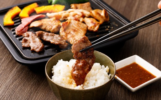 【数量限定】お試し焼肉セット 富樫精肉店 特製 国産 ホルモン&豚肉 計3種+焼肉たれ付き（全て味付け済み） 1082003