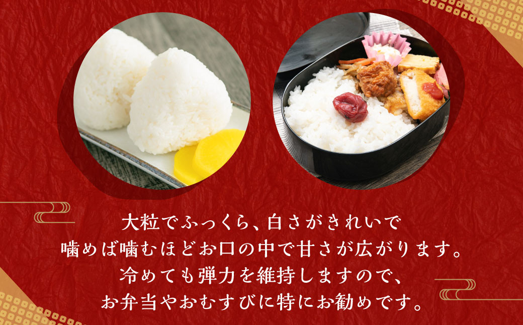 【新米受付・令和6年産米】NA4100 新潟県村上市産 新之助 6kg