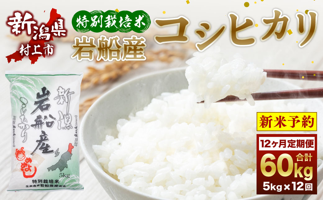 【新米受付・令和6年産米】NE4027 特別栽培米 新潟県岩船産コシヒカリ60kg（5kg×12ヶ月コース）