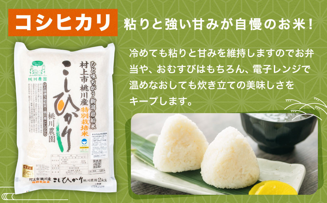 【新米受付・令和7年産米】NAB4038 新潟県村上市桃川産 特別栽培 コシヒカリ 10kg（5kg×2袋）