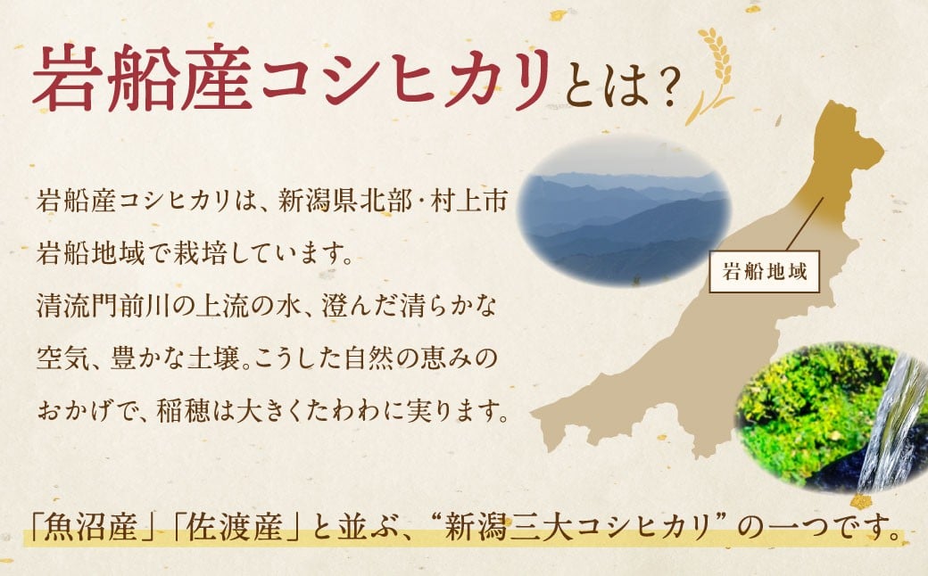 縲先眠邀ウ蜿嶺サ倥サ莉、蜥8蟷エ逕」邀ウ縲第眠貎溽恁譚台ク雁クゅ蟯ゥ闊ケ逕」繧ウ繧キ繝偵き繝ェ6kgシ2kgテ暦シ楢「具シ峨1103001N
