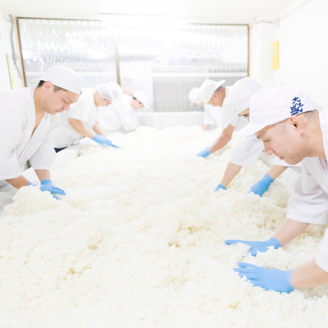 大洋盛セットN 1.8L×6本セット 飲み比べセット 一升瓶 日本酒 地酒 大容量 大洋酒造 [D4052]