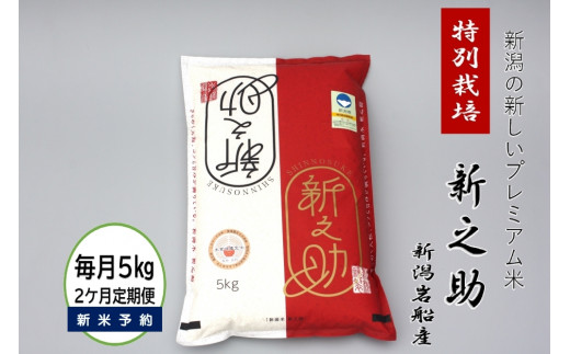 【新米受付・令和8年産米】【2ヶ月定期便】食味鑑定士板垣謹製 新潟県村上市岩船産 特別栽培 新之助 5kg×2ヶ月 1039052N｜連続 毎月 お届け 新耕農産 一等米 プレミアム米 農家直送 低温倉庫保管