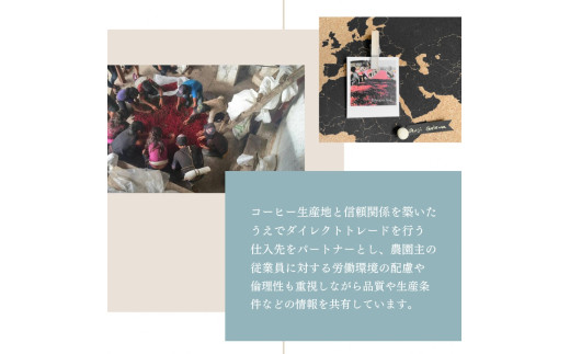 【定期便：6ヶ月連続でお届け】シングルオリジンコーヒー 100g × 3品種（中挽き）計300g×6ヶ月 1075028 コーヒー 珈琲 粉