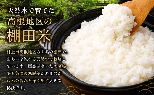 縲先眠邀ウ蜿嶺サ倥サ莉、蜥8蟷エ逕」邀ウ縲第眠貎溽恁譚台ク雁クょイゥ闊ケ逕」縲譽夂伐邀ウ繧ウ繧キ繝偵き繝ェ縲後◆縺九ュ縺ョ闃ア縲10kg縲1104002N
