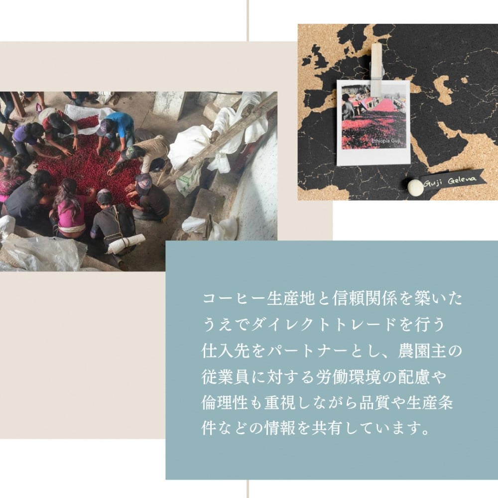 ãå®æäŸ¿ïŒ3ã¶æé£ç¶ã§ãå±ããã·ã³ã°ã«ãªãªãžã³ã³ãŒã㌠100g à 3åçš®ïŒè±ïŒèš300gÃ3ã¶æ 1075021 ã³ãŒã㌠çç² ã³ãŒããŒè±