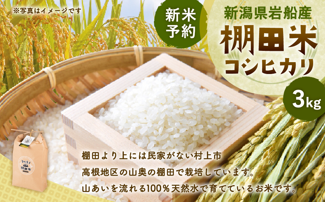 【新米受付・令和8年産米】新潟県村上市岩船産 棚田米コシヒカリ 3kg　1011007N