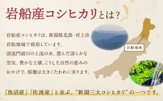 【新米受付・令和8年産米】【定期便：3ヶ月お届け】新潟県村上市　岩船産コシヒカリ6kg（2kg×３袋）×3ヶ月　合計18kg　1103002N