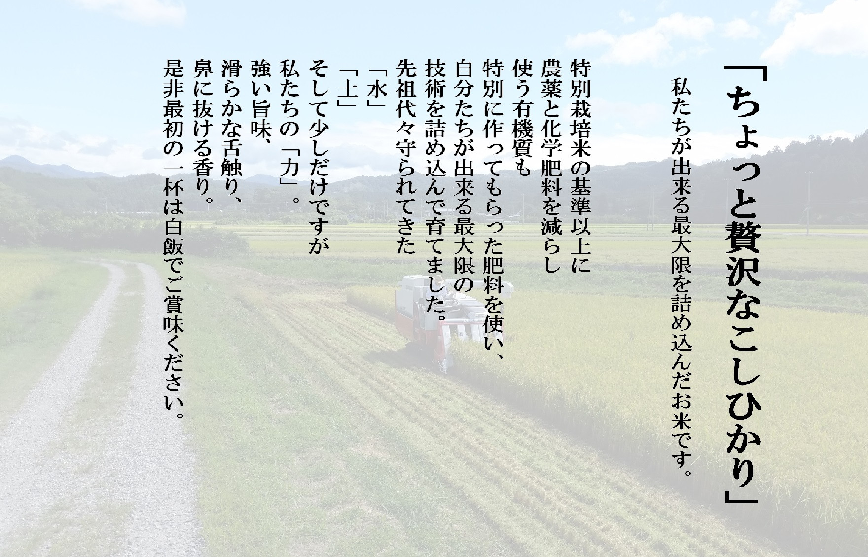 【新米受付・令和6年産米】NA4170 【新潟県岩船産】特別栽培米・ちょっと贅沢なこしひかり4kg＆古代米50ｇセット