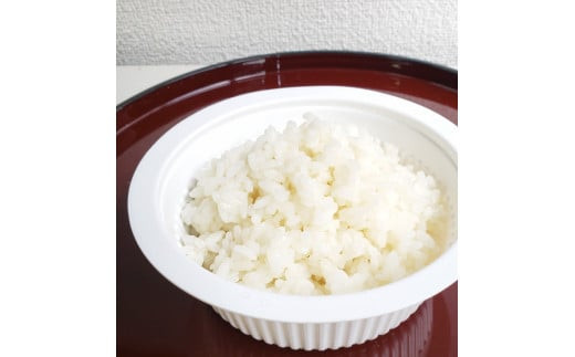 【令和7年産米】【5ヶ月定期便】新潟県村上市岩船産 棚田米コシヒカリ 4kg（2kg×2袋）+パックごはん(150g×1個) ×5ヶ月 1067144