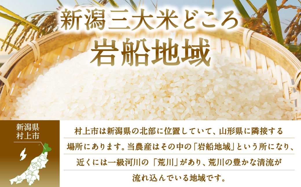 B4075 【令和5年産米】特別栽培米  新潟県岩船産コシヒカリ  12kg（6kg×2ヶ月コース） 定期便 毎月 お米  白米 こしひかり 精米 村上市