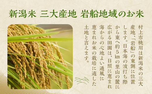 縲先眠邀ウ蜿嶺サ倥サ莉、蜥8蟷エ逕」邀ウ縲第眠貎溽恁譚台ク雁クら肇 迚ケ蛻・譬ス蝓ケ邀ウ 譁ー荵句勧 4kgシ2kgテ2陲具シ1040009N