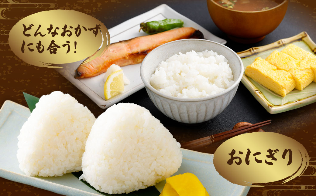 【令和7年産米】新潟県村上市岩船産コシヒカリ5kg　1102001