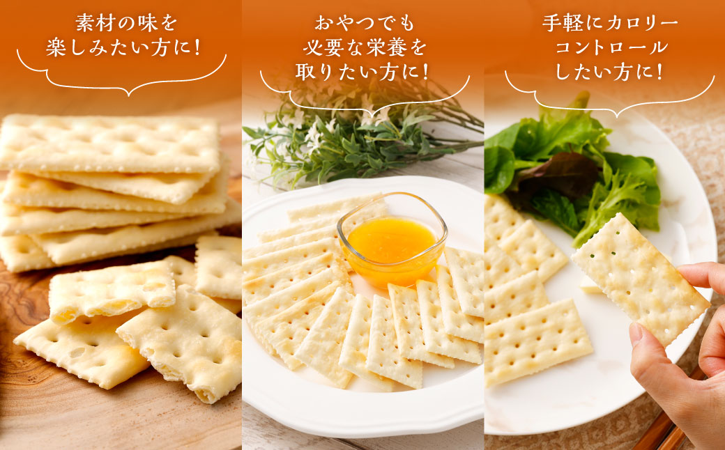 ブルボン「天然酵母のクラッカー」48枚入×6袋　1094012