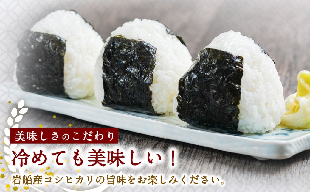 【令和7年産米】特別栽培米 新潟県岩船産 コシヒカリ 60kg（5kg×12ヶ月コース） 定期便  毎月 お米  白米 こしひかり 精米 村上市 1013013