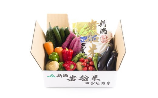 B4026 【令和5年産米】新潟県岩船米コシヒカリと季節の野菜セット2