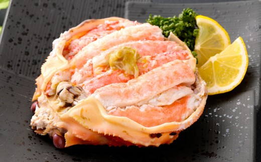 【1月～3月発送】【訳あり】冷蔵便　生本ズワイガニ夫婦セット（雄約2kg＋セコガニ約1kg）1079006