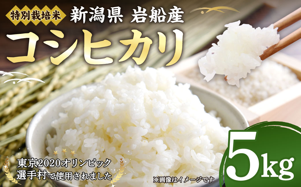 A4189 【令和5年産米】特別栽培米 新潟県岩船産コシヒカリ5kg