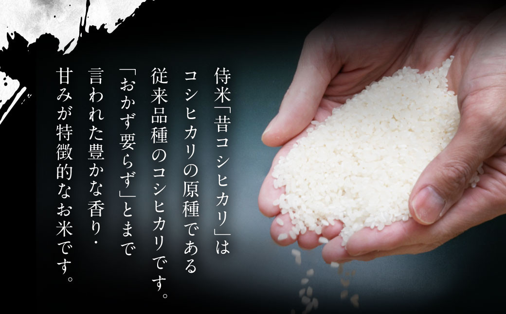 【定期便 3ヶ月】【令和6年産米】新潟県岩船産コシヒカリ  精米6kg（2kg×3個セット）×3ヶ月 C4085