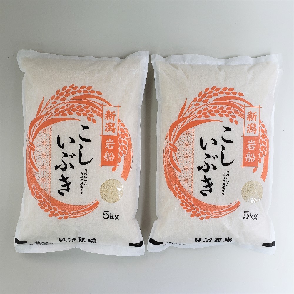 【令和7年産米】 こしいぶき 白米10kg（5kg×2） 新潟県村上市岩船産　1067103