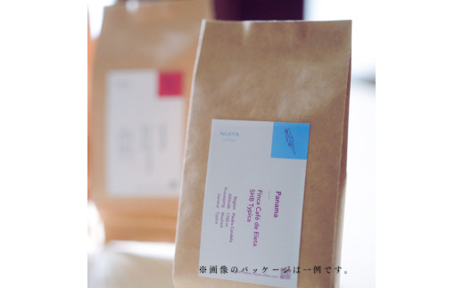 【定期便：3ヶ月連続でお届け】シングルオリジンコーヒー 100g × 3品種（豆）計300g×3ヶ月 1075024 コーヒー 珈琲 コーヒー豆