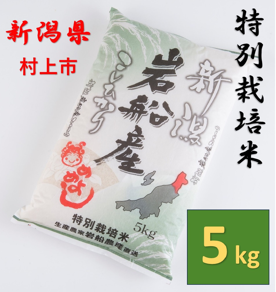 【令和6年産米】特別栽培米  岩船産 コシヒカリ5kg 1013005 米 白米 精米 お米