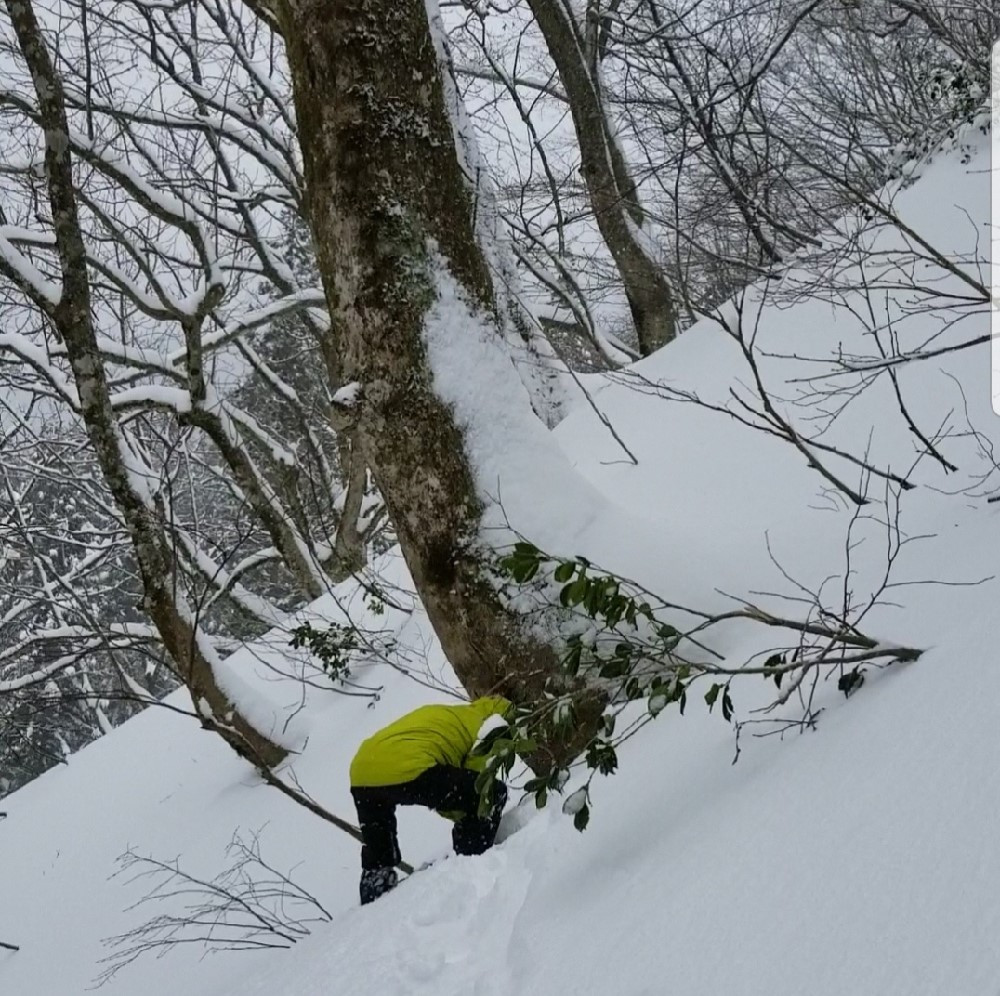 繝。繝シ繝励Ν繧オ繝繝励後°縺医〒縺ョ螳晉浹縲500mlテ2譛ャ繧サ繝繝医1093001縲