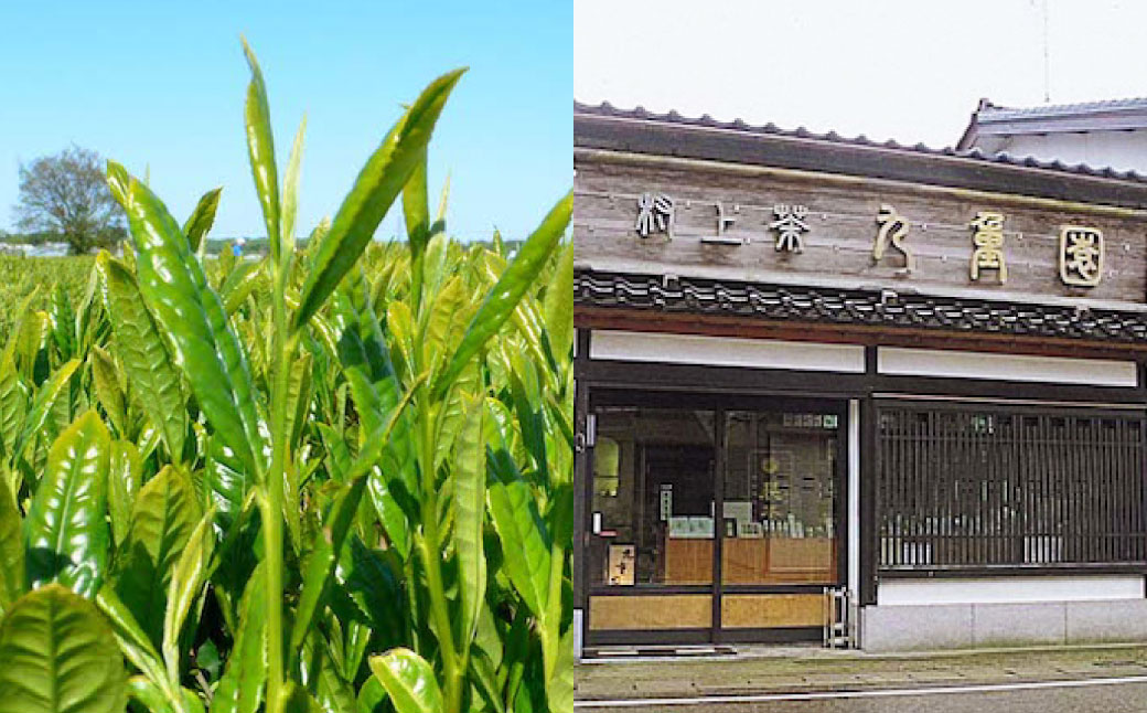 A4065 村上銘茶詰め合せA