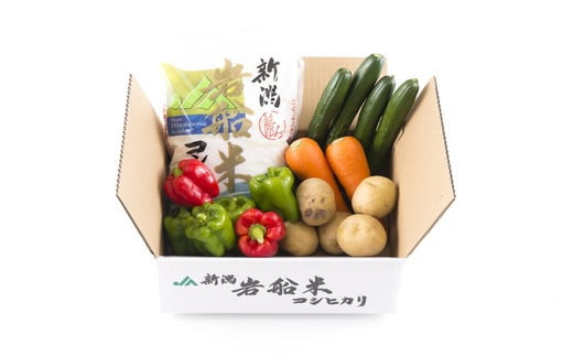 A4031 【令和5年産米】新潟県岩船米コシヒカリと季節の野菜セット1