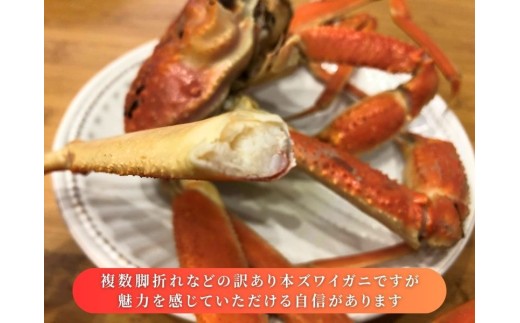【11月～2月発送】【訳あり】本ズワイガニ　約2kg（2～6尾入）新潟県村上市寝屋漁港産 1079001