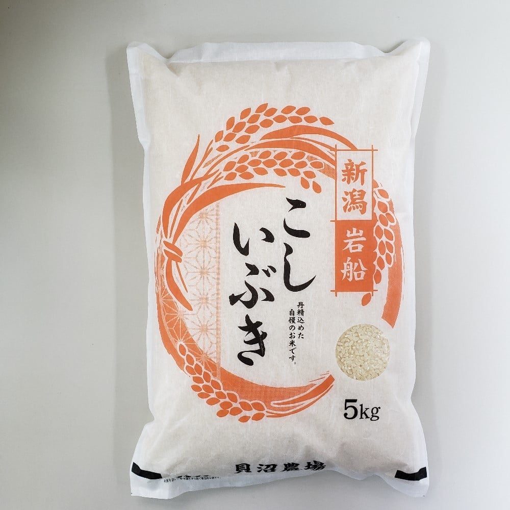 【令和7年産米】 こしいぶき 白米5kg（5kg×1） 新潟県村上市岩船産　1067101