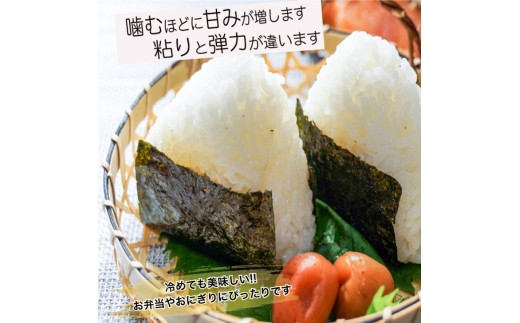 縲先眠邀ウ蜿嶺サ倥サ莉、蜥8蟷エ逕」邀ウ縲第眠貎溽恁譚台ク雁ク 蟯ゥ闊ケ逕」 繧縺縺縺21シ育・樊棊逕」蝨ーシ5kg縲1059001N
