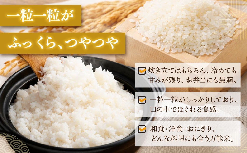 縲先眠邀ウ蜿嶺サ倥サ莉、蜥8蟷エ逕」邀ウ縲第眠貎溽恁譚台ク雁クゅ蟯ゥ闊ケ逕」繧ウ繧キ繝偵き繝ェ6kgシ2kgテ暦シ楢「具シ峨1103001N