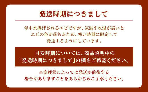 「南蛮エビ（甘エビ）」650g 新鮮！県北寝屋漁港直送！ 1043005 海老 えび 冷凍