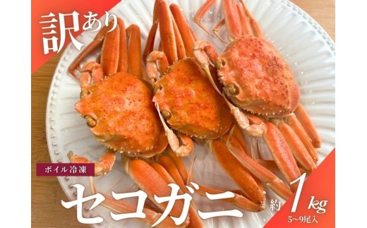 【11月～2月発送】【訳あり】セコガニ 約1kg（5～9尾入）新潟県村上市寝屋漁港産 C4088