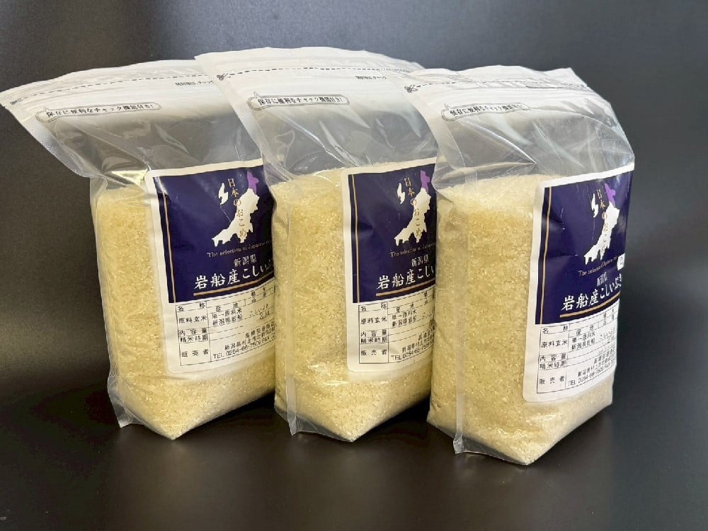 【数量限定】【令和7年産米】新潟県村上市岩船産 こしいぶき 6kg　1099001