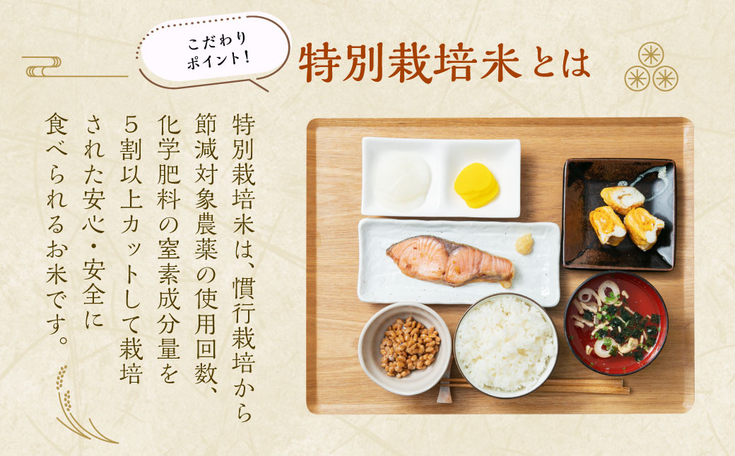 【新米受付・令和7年産米】NAB4038 新潟県村上市桃川産 特別栽培 コシヒカリ 10kg（5kg×2袋）
