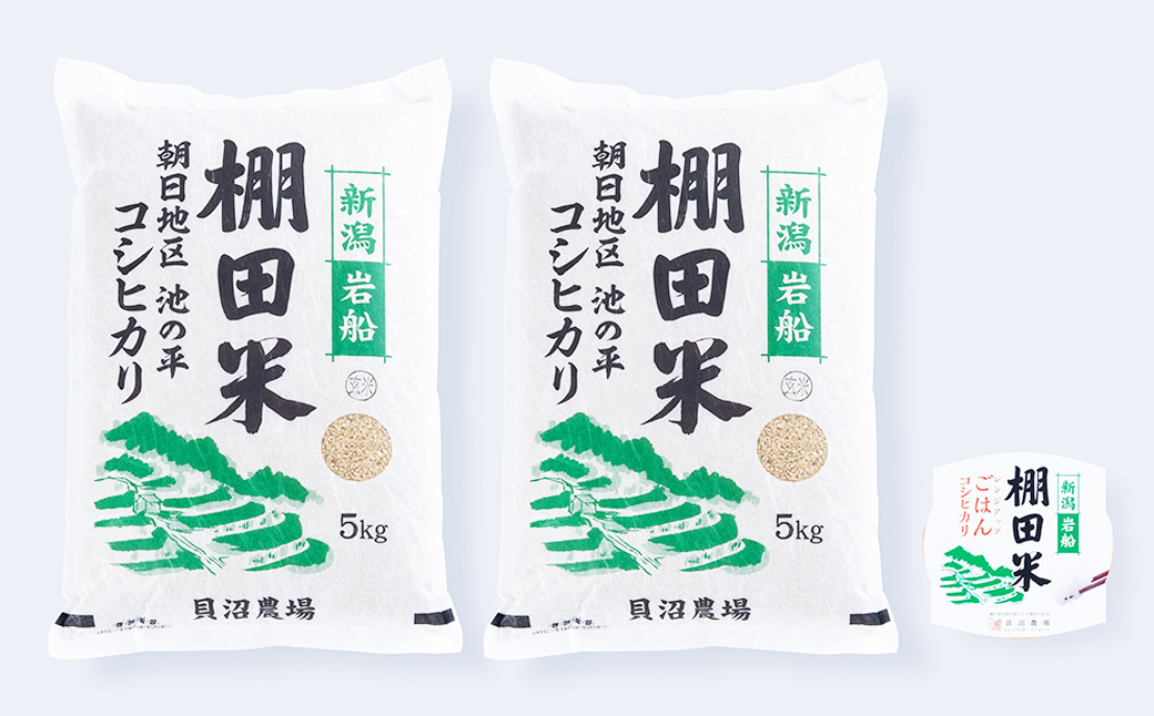 【定期便：3ヶ月連続でお届け】【令和6年産米】新潟県岩船産 棚田米コシヒカリ 玄米10kg ＋ 棚田米コシヒカリのパックごはん(150g×1個)×3ヶ月 1067038