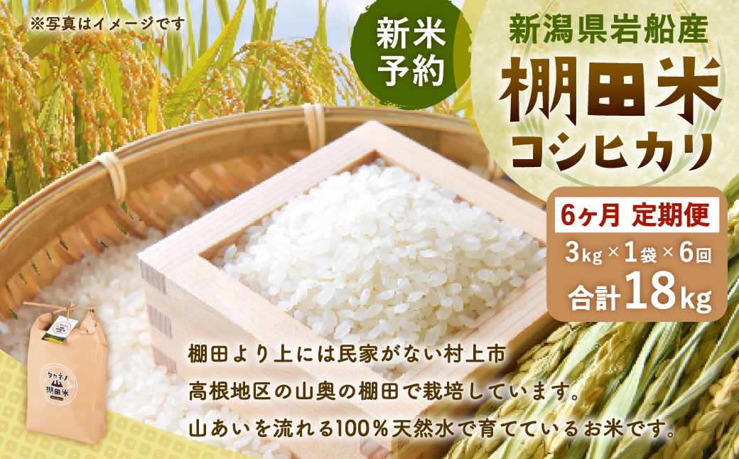 【新米受付・令和8年産米】【定期便：6ヶ月連続でお届け】新潟県村上市岩船産 棚田米コシヒカリ 3kg×6ヶ月　1011010N