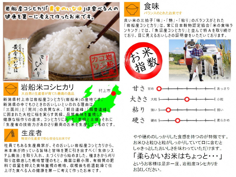 B4044 【令和6年産米】自然豊かな風土が育んだ新潟県岩船産コシヒカリ5kgと杵つき黄金もちセット