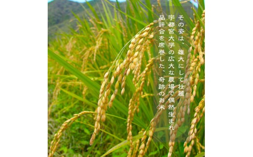 縲先眠邀ウ蜿嶺サ倥サ莉、蜥8蟷エ逕」邀ウ縲第眠貎溽恁譚台ク雁ク 蟯ゥ闊ケ逕」 繧縺縺縺21シ育・樊棊逕」蝨ーシ5kg縲1059001N