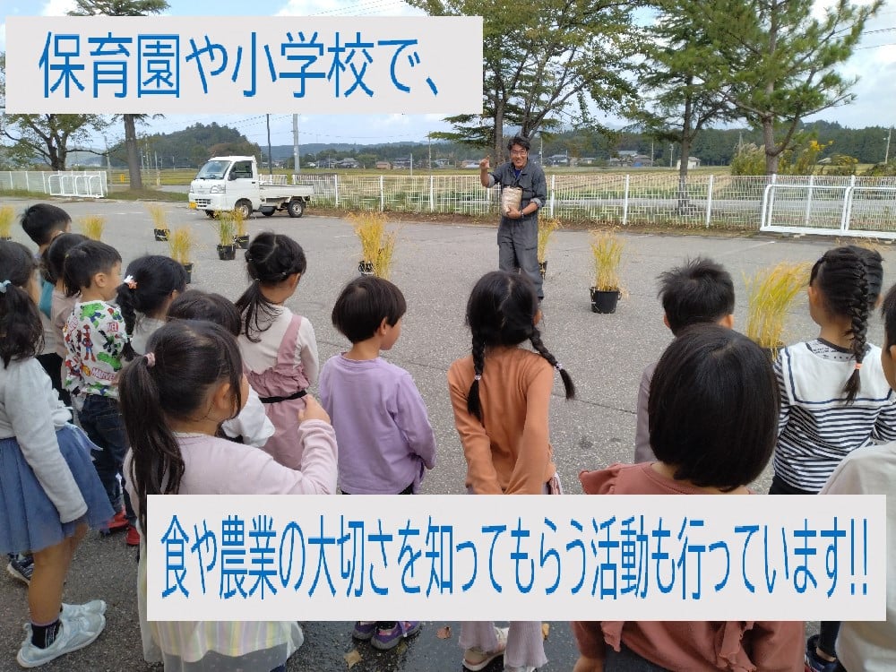 【新米受付・令和7年産米】簡単便利！食味鑑定士板垣謹製 特別栽培米使用・ちょっと贅沢な新潟県村上市産 コシヒカリ パックご飯 150g×10個　1039037N