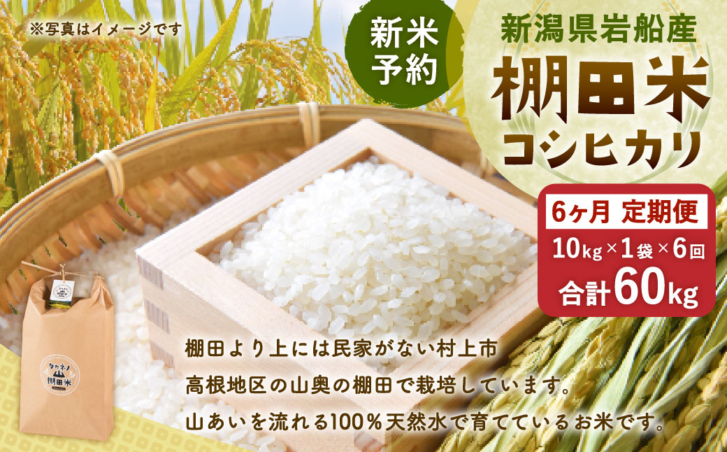 【新米予約・令和8年産米】【定期便：6ヶ月連続でお届け】新潟県村上市岩船産 棚田米コシヒカリ 10kg×6ヶ月　1011006N