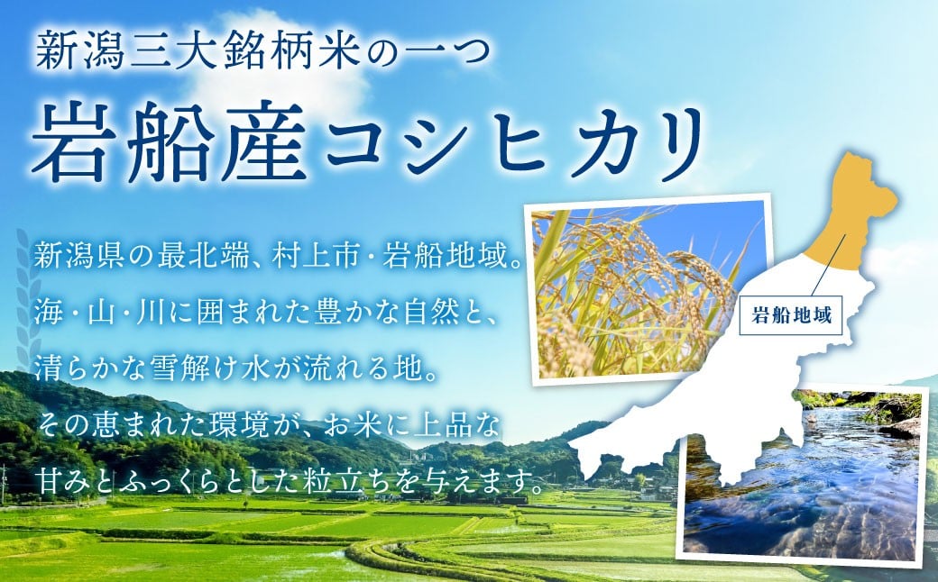 【新米受付・令和8年産米】新潟県村上市岩船産　岩船産コシヒカリ5kg　1102001N