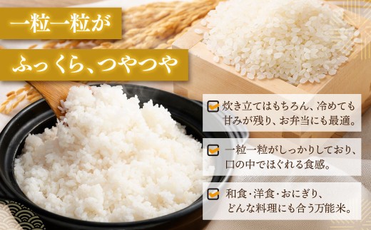 【新米受付・令和8年産米】【定期便：3ヶ月お届け】新潟県村上市　岩船産コシヒカリ6kg（2kg×３袋）×3ヶ月　合計18kg　1103002N