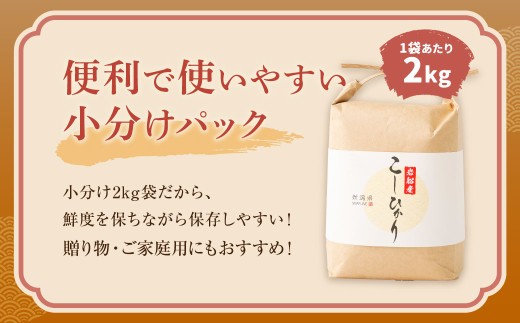 【新米受付・令和8年産米】【定期便：3ヶ月お届け】新潟県村上市　岩船産コシヒカリ6kg（2kg×３袋）×3ヶ月　合計18kg　1103002N