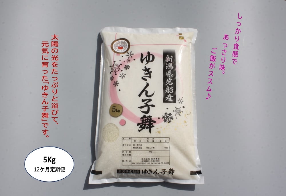 【令和6年産米】【12ヶ月定期便】ゆきん子舞 白米 5kg×12ヶ月  1039023 お米 米 精米 ご飯 ごはん